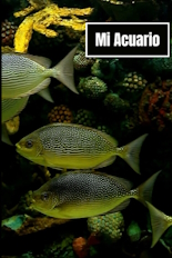 Mi Acuario